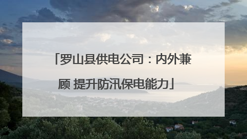罗山县供电公司：内外兼顾 提升防汛保电能力