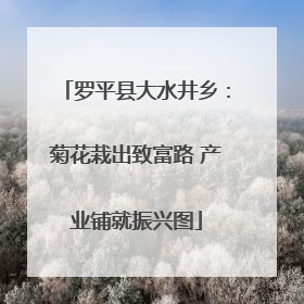 罗平县大水井乡：菊花栽出致富路 产业铺就振兴图
