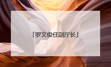 罗文俊任副厅长