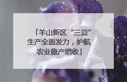 羊山新区“三夏”生产全面发力，护航农业稳产增收