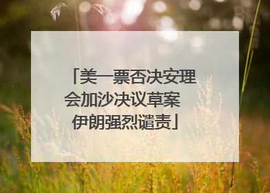 美一票否决安理会加沙决议草案 伊朗强烈谴责
