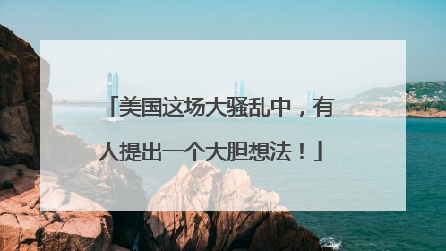 美国这场大骚乱中，有人提出一个大胆想法！