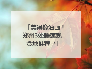 美得像油画！郑州3处睡莲观赏地推荐→