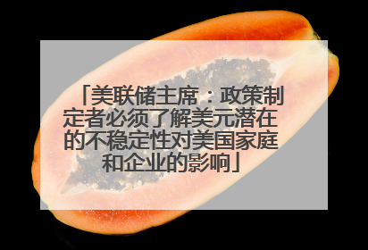 美联储主席：政策制定者必须了解美元潜在的不稳定性对美国家庭和企业的影响