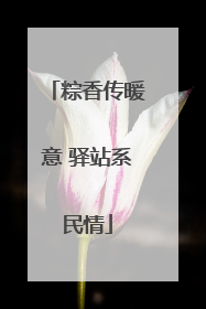粽香传暖意 驿站系民情