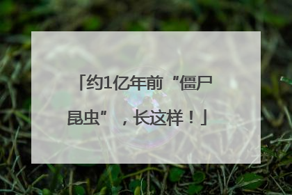 约1亿年前“僵尸昆虫”，长这样！