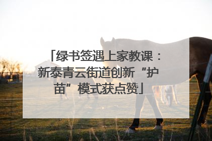 绿书签遇上家教课：新泰青云街道创新“护苗”模式获点赞