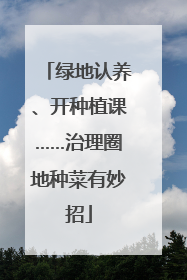 绿地认养、开种植课……治理圈地种菜有妙招