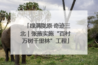 绿满陇原·奇迹三北｜张掖实施“百村万树千里林”工程