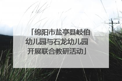 绵阳市盐亭县岐伯幼儿园与石龙幼儿园开展联合教研活动