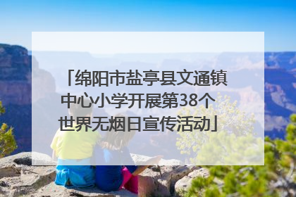 绵阳市盐亭县文通镇中心小学开展第38个世界无烟日宣传活动