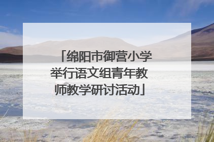 绵阳市御营小学举行语文组青年教师教学研讨活动