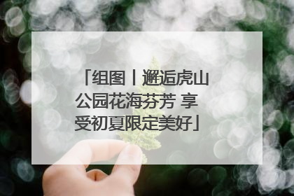 组图丨邂逅虎山公园花海芬芳 享受初夏限定美好