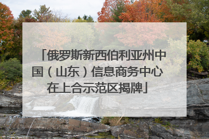 俄罗斯新西伯利亚州中国（山东）信息商务中心在上合示范区揭牌