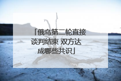 俄乌第二轮直接谈判结束 双方达成哪些共识