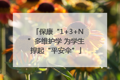 保康“1+3+N”多维护学 为学生撑起“平安伞”