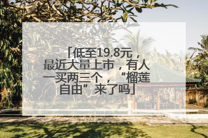 低至19.8元，最近大量上市，有人一买两三个，“榴莲自由”来了吗
