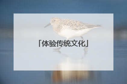 体验传统文化