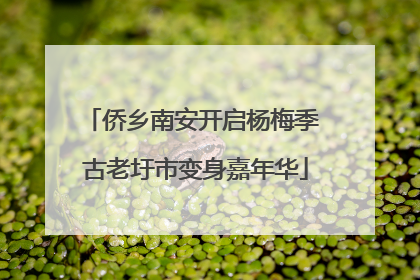 侨乡南安开启杨梅季 古老圩市变身嘉年华