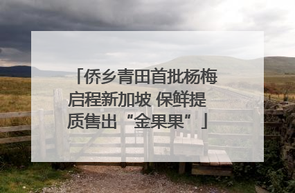 侨乡青田首批杨梅启程新加坡 保鲜提质售出“金果果”