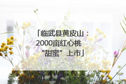 临武县黄皮山：2000亩红心桃“甜蜜”上市