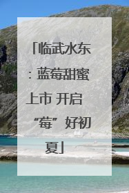 临武水东：蓝莓甜蜜上市 开启“莓”好初夏