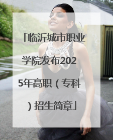 临沂城市职业学院发布2025年高职（专科）招生简章
