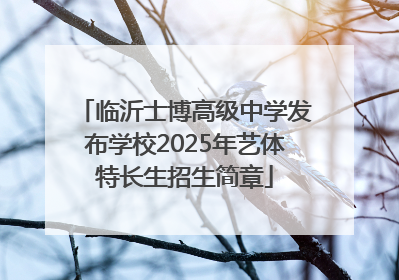 临沂士博高级中学发布学校2025年艺体特长生招生简章