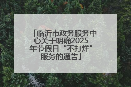 临沂市政务服务中心关于明确2025年节假日“不打烊”服务的通告