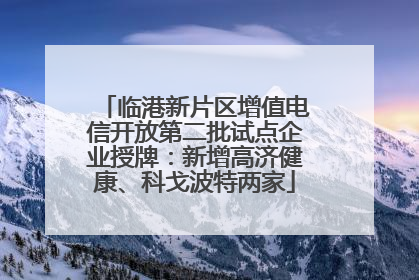 临港新片区增值电信开放第二批试点企业授牌：新增高济健康、科戈波特两家