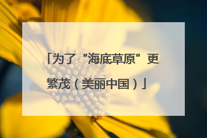 为了“海底草原”更繁茂（美丽中国）