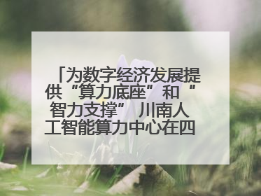 为数字经济发展提供“算力底座”和“智力支撑” 川南人工智能算力中心在四川泸州启动