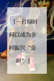 一片绿叶何以成为乡村振兴“金叶”