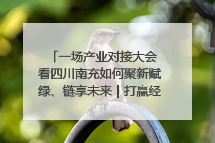 一场产业对接大会 看四川南充如何聚新赋绿、链享未来｜打赢经济发展翻身仗