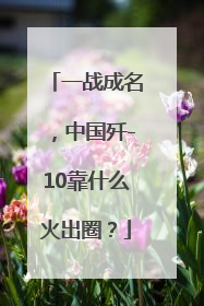 一战成名，中国歼-10靠什么火出圈？