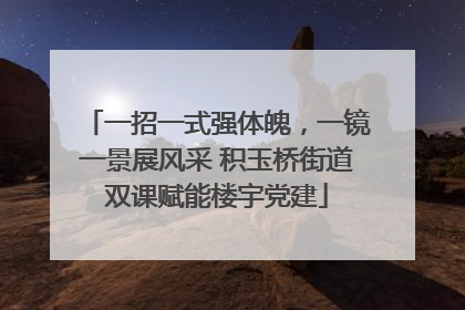 一招一式强体魄，一镜一景展风采 积玉桥街道双课赋能楼宇党建