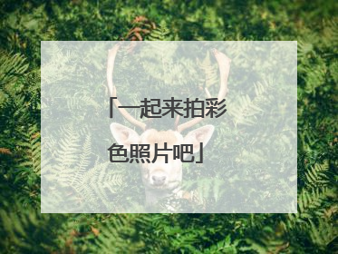 一起来拍彩色照片吧