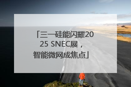 三一硅能闪耀2025 SNEC展，智能微网成焦点