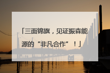 三面锦旗，见证振森能源的“非凡合作”！