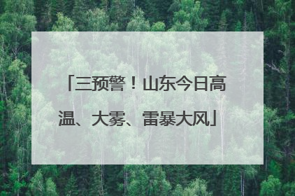 三预警！山东今日高温、大雾、雷暴大风