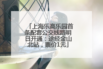 上海乐高乐园首条配套公交线路明日开通：途经金山北站，票价1元