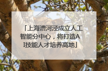 上海漕河泾成立人工智能分中心，将打造AI技能人才培养高地