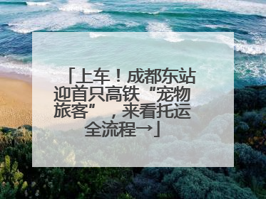 上车！成都东站迎首只高铁“宠物旅客”，来看托运全流程→