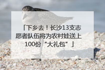下乡去！长沙13支志愿者队伍将为农村娃送上100份“大礼包”
