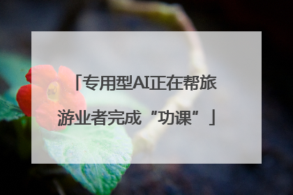 专用型AI正在帮旅游业者完成“功课”