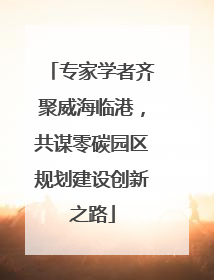 专家学者齐聚威海临港，共谋零碳园区规划建设创新之路