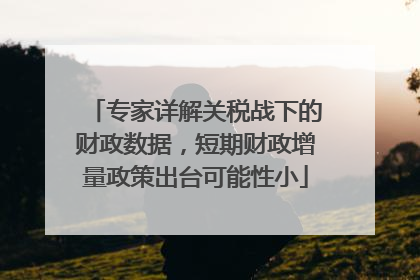 专家详解关税战下的财政数据，短期财政增量政策出台可能性小