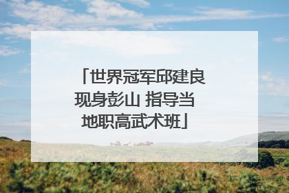 世界冠军邱建良现身彭山 指导当地职高武术班