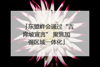 东盟峰会通过“吉隆坡宣言” 聚焦加强区域一体化