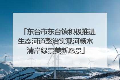 东台市东台镇积极推进生态河道整治实现河畅水清岸绿景美新愿景